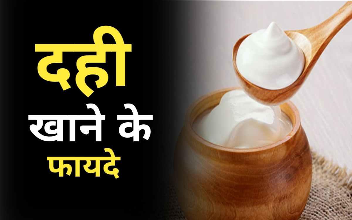 Dahi Khane Ke Fayde Aur Nuksan | दही के फायदे, गुण और नुकसान | (CURD) Benifits in Hindi 1 Dahi Khane Ke Fayde Aur Nuksan